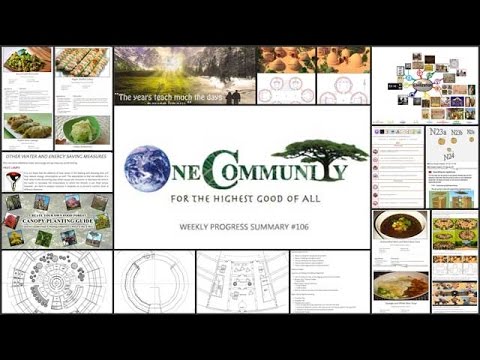 Creating a Goal-oriented Ecological Renaissance - One Community Weekly Progress Update #106