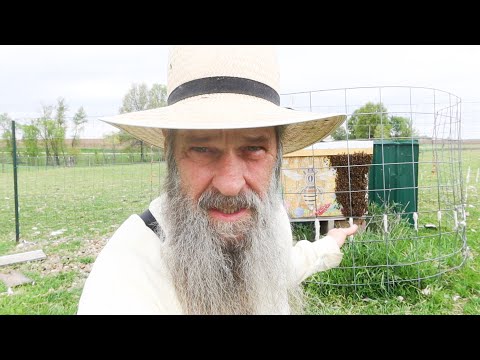 Biggest mistake new Beekeepers make!