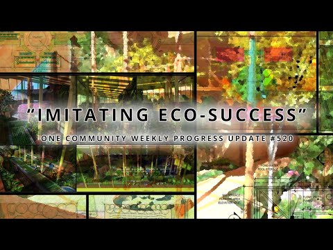 Imitating Eco-success - One Community Weekly Progress Update #520