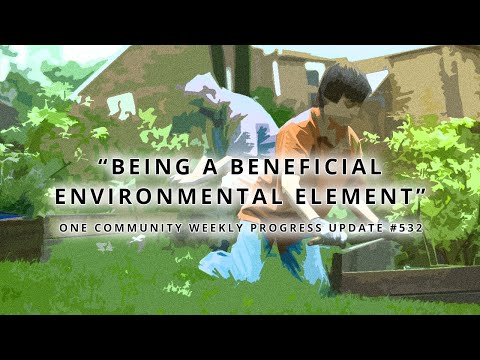 Being a Beneficial Environmental Element - One Community Weekly Progress Update #532