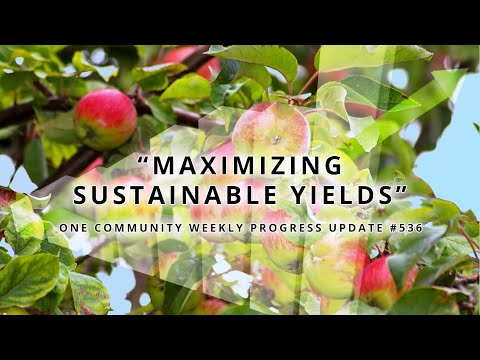 Maximizing Sustainable Yields - One Community Weekly Progress Update #536