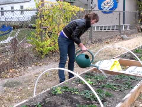 How to build a PVC Hoop House