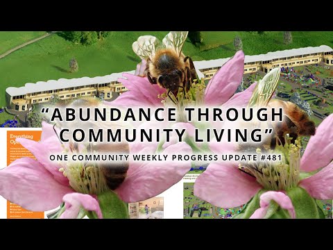 Abundance Through Community Living - One Community Weekly Progress Update #481