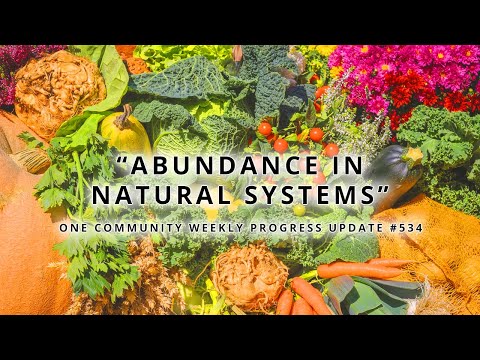 Abundance in Natural Systems - One Community Weekly Progress Update #534