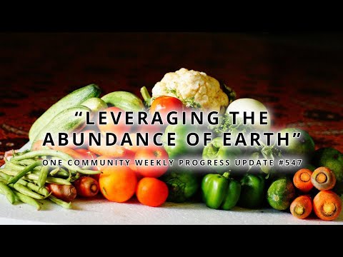 Leveraging the Abundance of Earth - One Community Weekly Progress Update #547