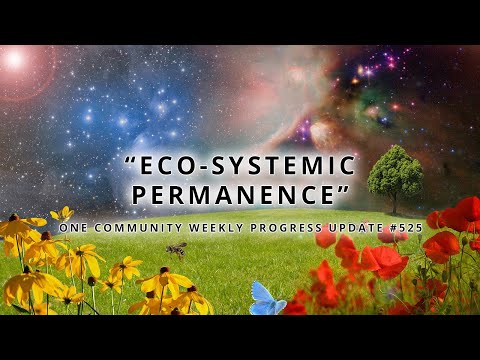 Creating Eco-systemic Permanence - One Community Weekly Progress Update #525