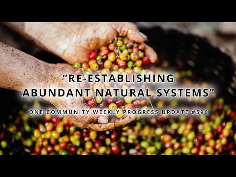 Re-establishing Abundant Natural Systems - One Community Weekly Progress Update #596