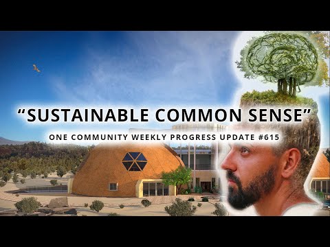 Sustainable Common Sense - One Community Weekly Progress Update #615