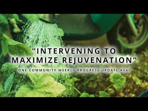 Intervening to Maximize Rejuvenation - One Community Weekly Progress Update #541