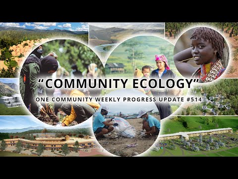 Community Ecology - One Community Weekly Progress Update #514