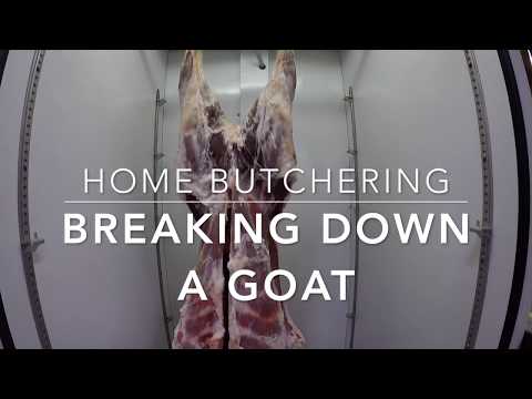 Goat &amp; lamb butchering at home