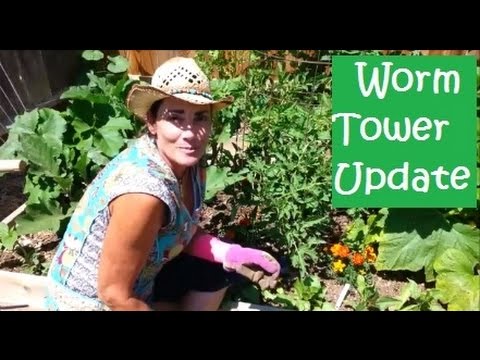 Worm Tower Update/Harvesting Worm Castings