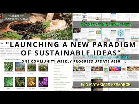 Launching a New Paradigm of Sustainable Ideas - One Community Weekly Progress Update #650