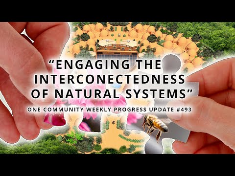 Engaging the Interconnectedness of Natural Systems - One Community Weekly Progress Update #493