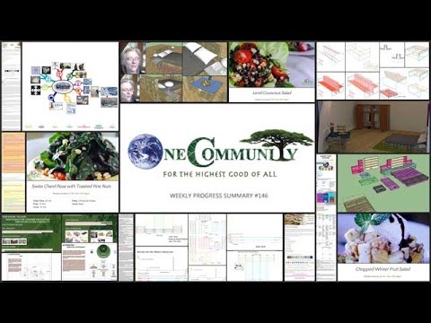 How to Create Global Sustainable Progress - One Community Weekly Progress Update #146