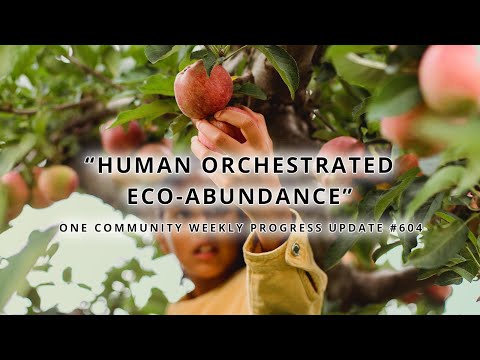 Human Orchestrated Eco-abundance - One Community Weekly Progress Update #604