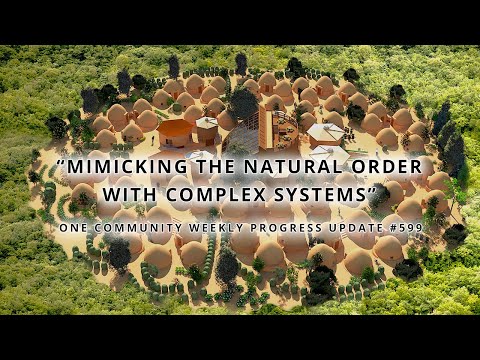 Mimicking the Natural Order with Complex Systems - One Community Weekly Progress Update #599