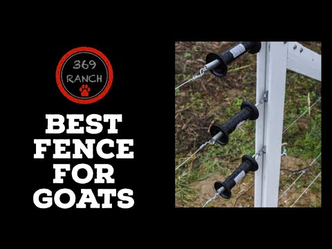 Best Fence for Goats