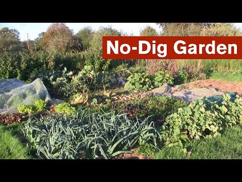 No-Dig Garden Introduction