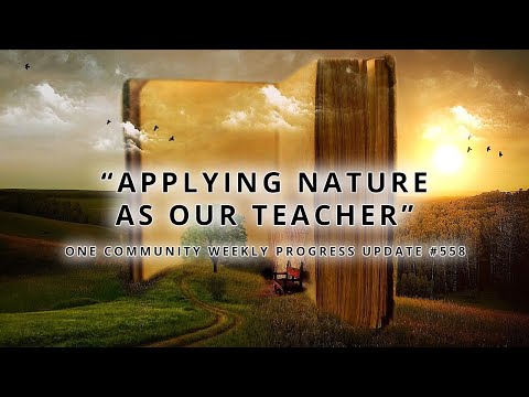 Applying Nature as Our Teacher - One Community Weekly Progress Update #558