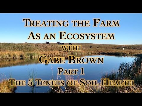 Treating the Farm as an Ecosystem with Gabe Brown Part 1, The 5 Tenets of Soil Health