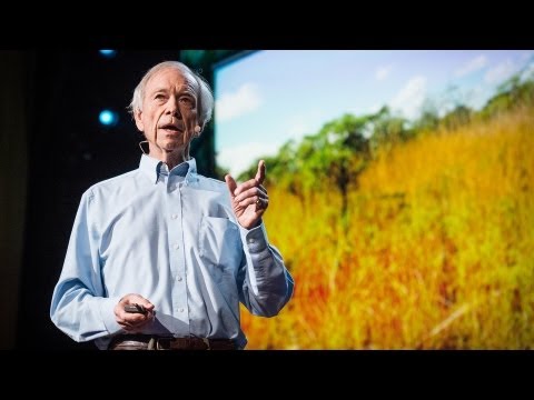 How to green the world&#039;s deserts and reverse climate change | Allan Savory