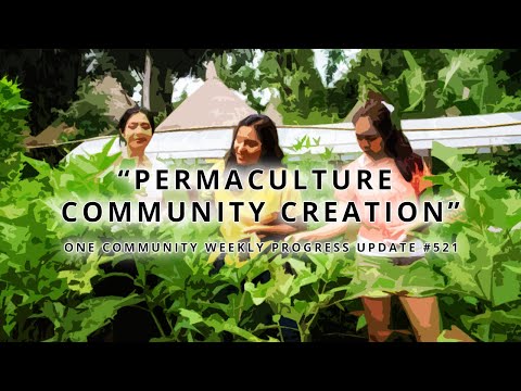 Permaculture Community Creation - One Community Weekly Progress Update #521