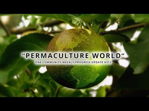 Permaculture World - One Community Weekly Progress Update #313