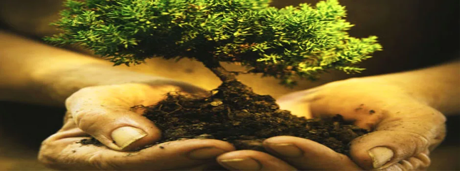 One Community, sustainability non-profit, for The Highest Good of All