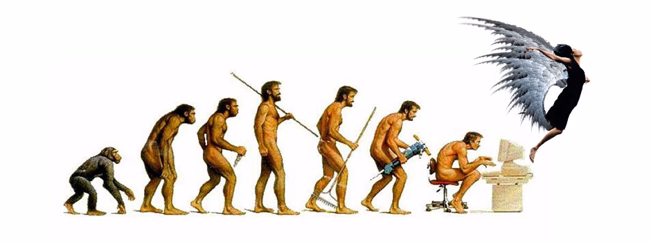 evolution, one community