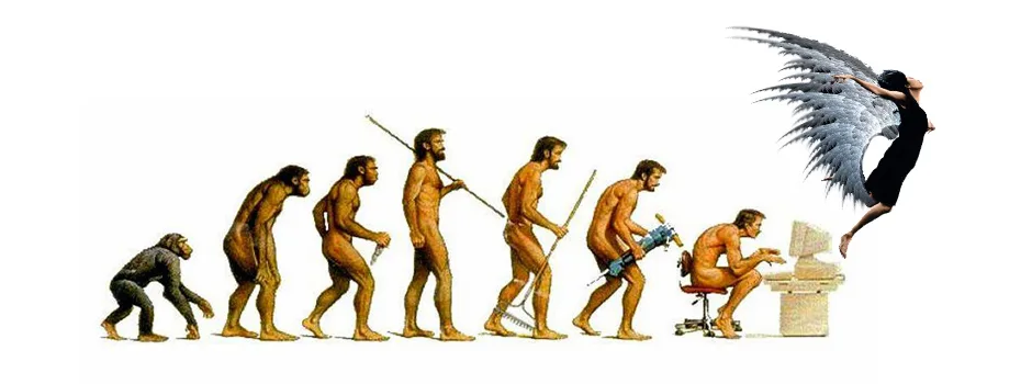 evolution, one community