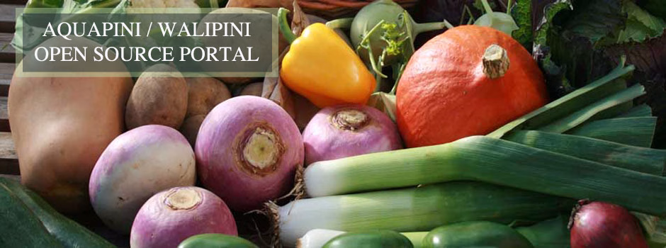 sustainable food, aquaponics, aquapini, walipini, zen aquapini, eco food, organic food, green living, open source food production, ecological living, for The Highest Good of All, open source walipini, open source aquapini, sustainable eating, One Community Food, free-shared food plans, greenhouse building, eco-greenhouses, food forest, permaculture, solution based thinking, sustainable lives, eco-eatin', sustainability non-profit