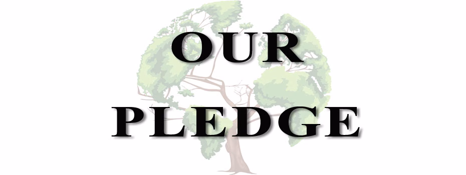 The One Community pledge, world-change pledge, One Community’s values, One Community World-change pledge, Helping One Community, One Community Get Involved, Ways to Help One Community, Ways to improve the world, a world that works for everyone, making a difference in the world, helping world change, facilitation change, positive change, Global Transformation, Making a Difference, One Community Overview, One Community get started, joining One Community, One Community, Sustainable Community, Green Living, open source sustainability, eco-sustainability, Highest Good food, Highest Good housing, Highest Good energy, eco-community, Highest Good society, Highest Good economics, Highest Good for All, Highest Good of All, For The Highest Good, Duplicable City Center, Earthbag Village, Straw Bale Village, Cob Village, Compressed Earth Block Village, Shipping Container Village, Recycled Materials Village, Tree House Village, sustainable village, sustainable homes, intentional community, One Community Global, sustainability nonprofit, open source community, open source best practice, open source housing, open source energy, open source food, open source economics, community living, model community, making a difference, A New Way to Live, I new living model, sustainable living, eco-living