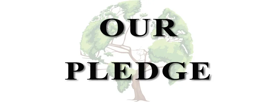 The One Community pledge, world-change pledge, One Community’s values, One Community World-change pledge, Helping One Community, One Community Get Involved, Ways to Help One Community, Ways to improve the world, a world that works for everyone, making a difference in the world, helping world change, facilitation change, positive change, Global Transformation, Making a Difference, One Community Overview, One Community get started, joining One Community, One Community, Sustainable Community, Green Living, open source sustainability, eco-sustainability, Highest Good food, Highest Good housing, Highest Good energy, eco-community, Highest Good society, Highest Good economics, Highest Good for All, Highest Good of All, For The Highest Good, Duplicable City Center, Earthbag Village, Straw Bale Village, Cob Village, Compressed Earth Block Village, Shipping Container Village, Recycled Materials Village, Tree House Village, sustainable village, sustainable homes, intentional community, One Community Global, sustainability nonprofit, open source community, open source best practice, open source housing, open source energy, open source food, open source economics, community living, model community, making a difference, A New Way to Live, I new living model, sustainable living, eco-living