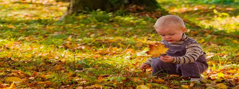 Waldorf education training, Waldorf education curriculum, Waldorf homeschooling, teaching strategies for life, curriculum for life, One Community, transformational education