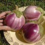 Arumugam’s Eggplant, One Community