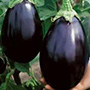 Black Beauty Eggplant, One Community
