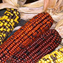 Mesquakie Indian corn, One Community