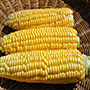 New Mama Super Sweet Corn, One Community