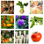 Large-scale Gardening Icon, food diversity, organic food, eco-living, grow your own food
