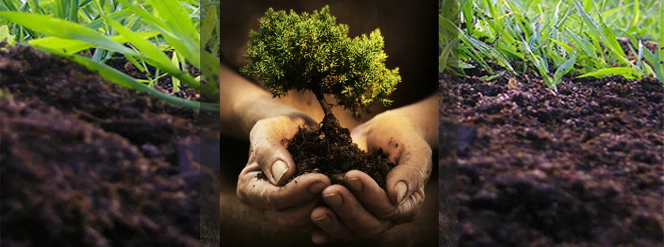 Soil Amendment
