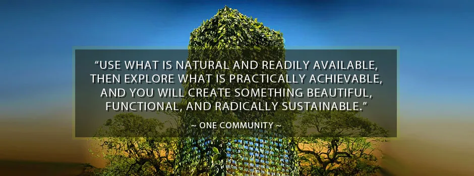 Plaster Header, Sustainable Building Quote