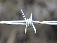 4-point-12.5-gauge-galvanized-barbed-wire.jpg