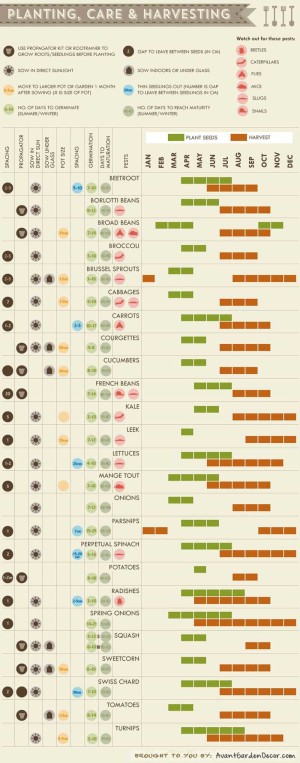 Large-scale Gardening Resource Hub for Maximizing Food Quality and ...