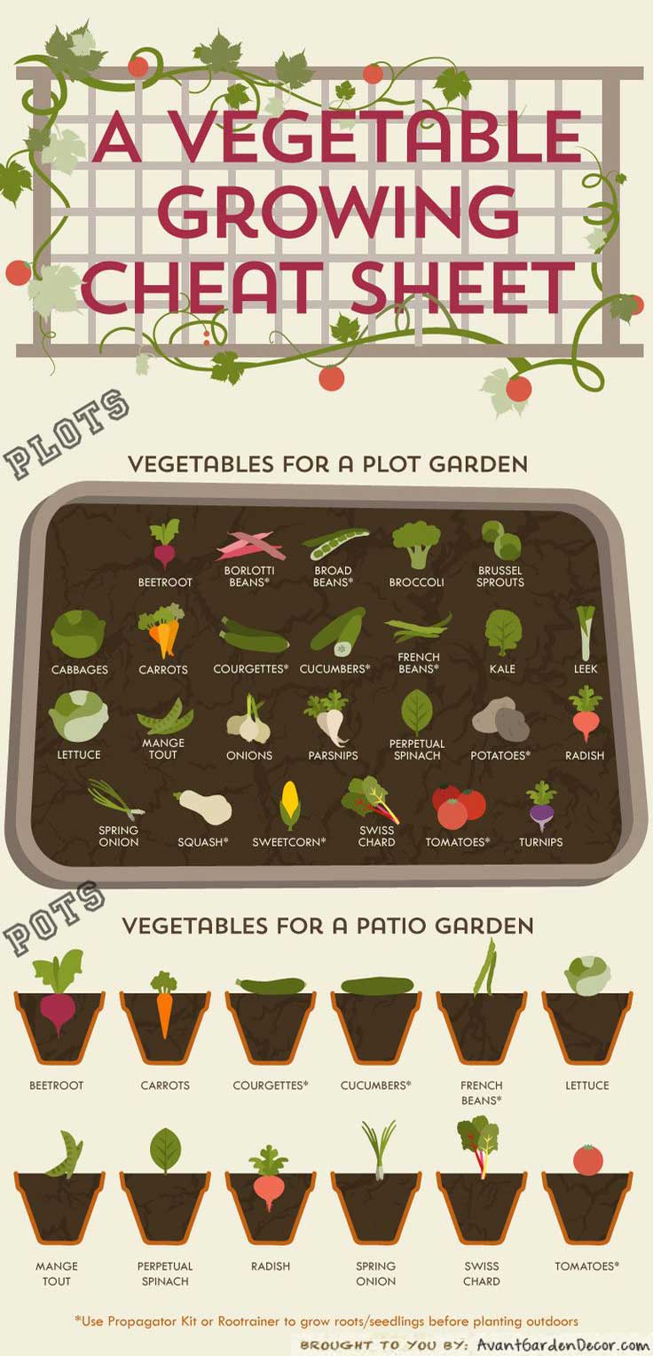 A vegetable growing cheat sheet, large-scale gardenting