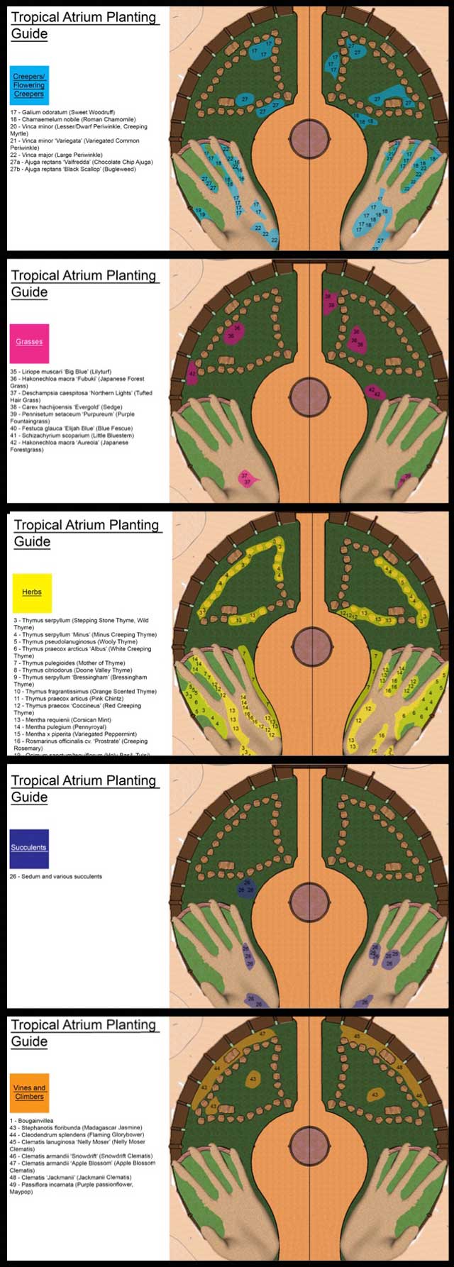 Shadi Kennedy (Artist and Graphic Designer) also created these individual planting plan maps for the Tropical Atrium Planting and Harvesting page. 