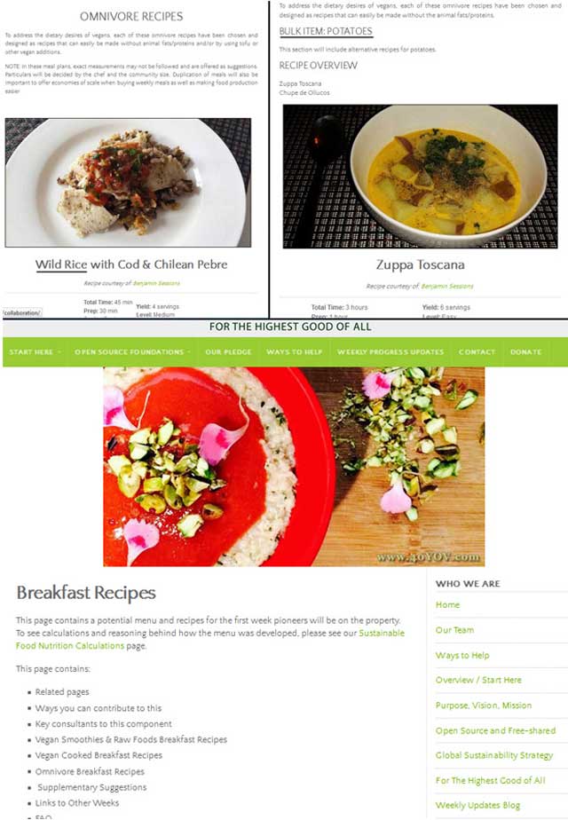 core team, omnivore recipe pages, Transition Kitchen strategy, breakfast recipes, content creation, culinary, cooking, regenerative community building