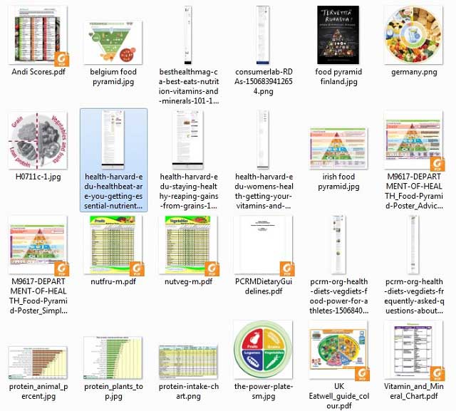 Achieving Earth’s Ecological Potential, This week, the core team continued researching and organizing, and made these images of the recently found resources for our Food Self-sufficiency Transition Plan and Sustainable Food Nutrition Calculations page, as you see here.