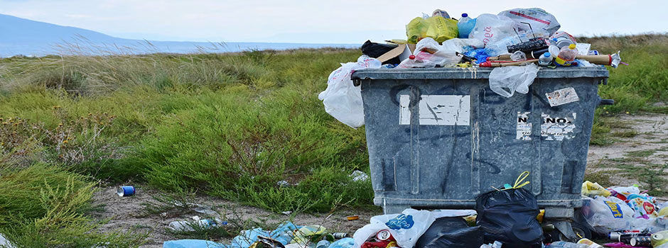 Best Small and Large-scale Recycling, Reuse, and Repurposing Options
