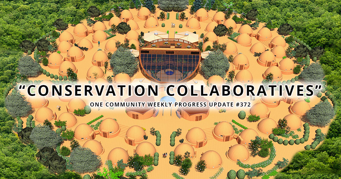 Conservation Collaboratives – One Community Global